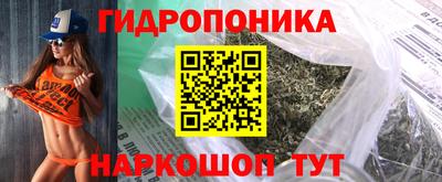 spice Пенза