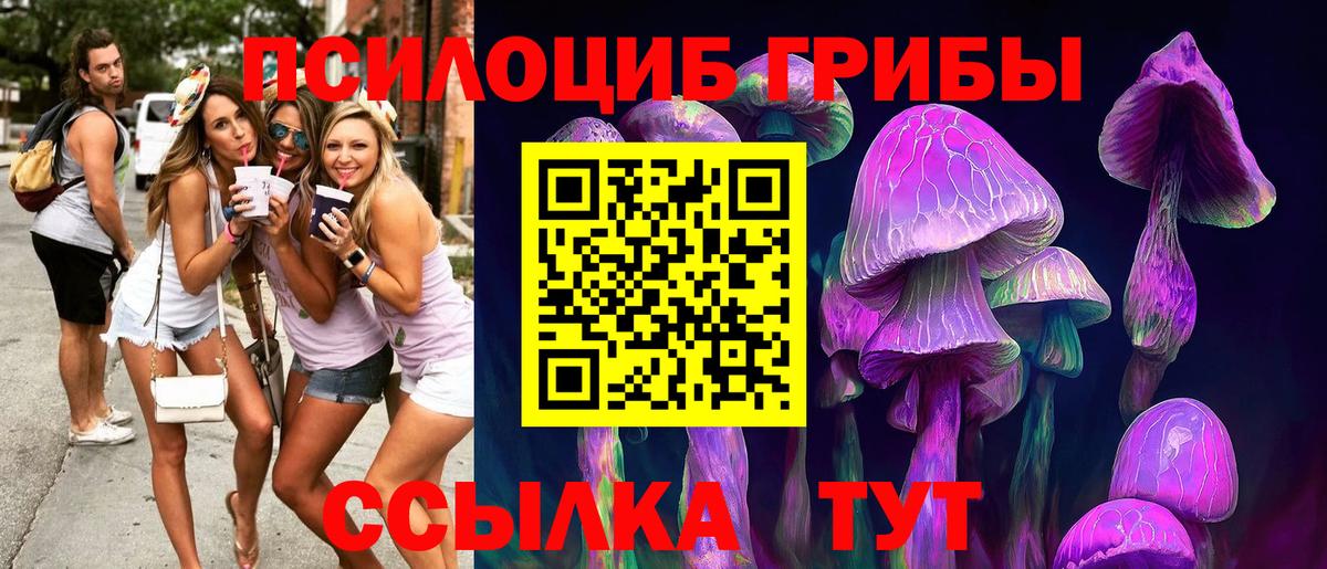 Галлюциногенные грибы ЛСД Сочи