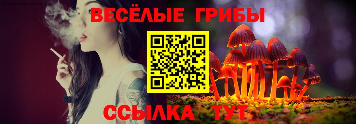 Галлюциногенные грибы мицелий  Вход с VPN  Сочи  Галлюциногенные грибы прущие грибы 